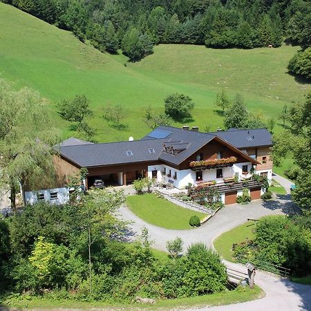 Scheibbs Urlaub Mitten Im Wald - Lueg מראה חיצוני תמונה