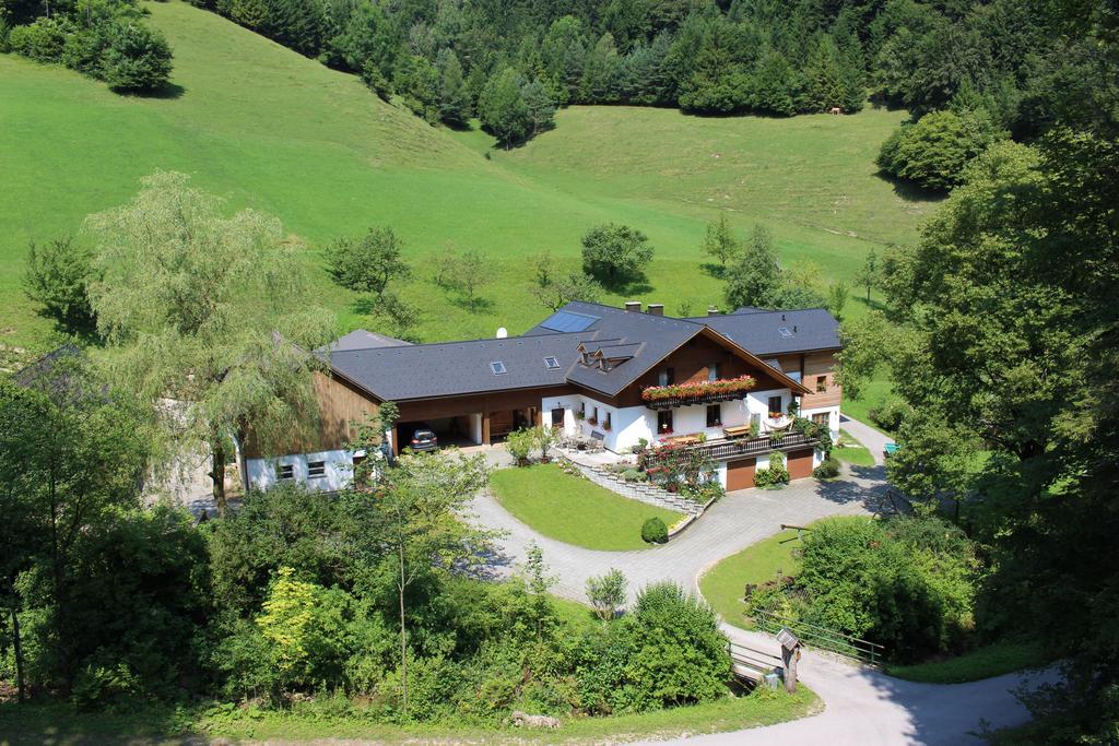 Scheibbs Urlaub Mitten Im Wald - Lueg מראה חיצוני תמונה
